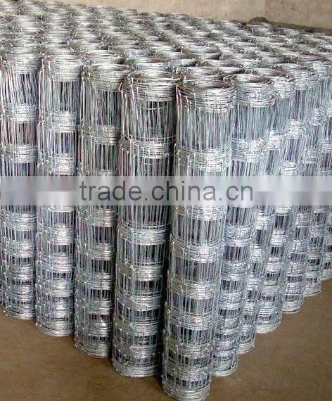 ISO 9001 stainless steel field fence