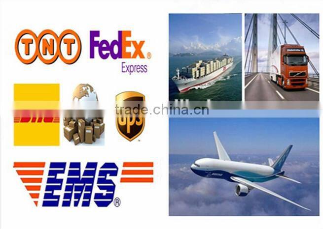 Security Camera 700TVL DIS and EXIR Mini Dome CCTV Camera GSMAC00048