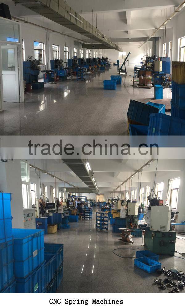 OEM galvanized extension spring