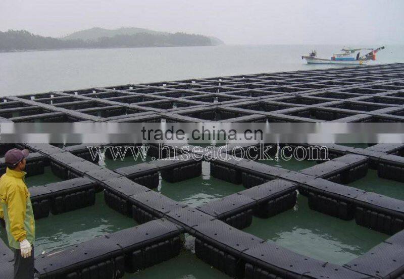 Floating fishing pontoon