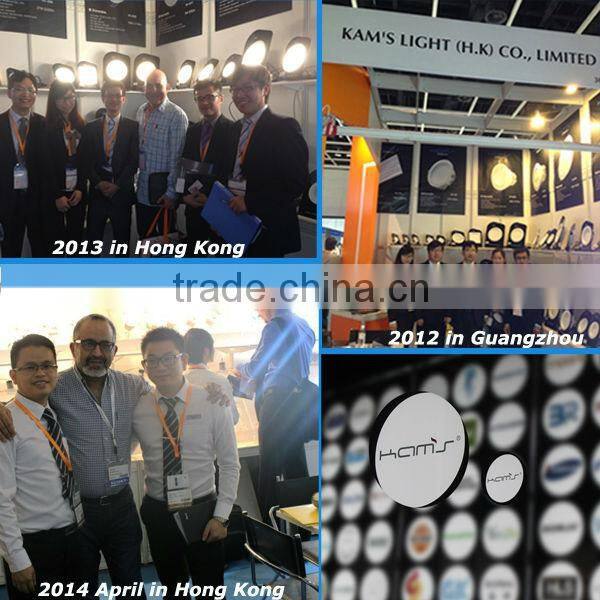 2, 3, 4 Phase adjustable black /white housing led track lights 220v