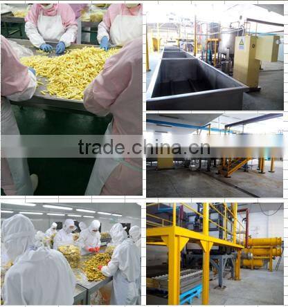 IQF Frozen raspberry whole with best price