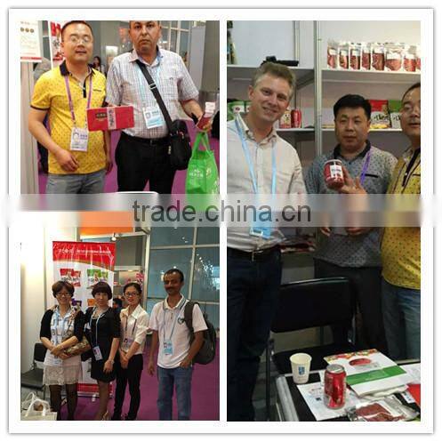 Ningxia Small Red Fruit /goji Berry in bulk