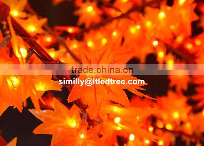 Led Maple tree yellow leaf
