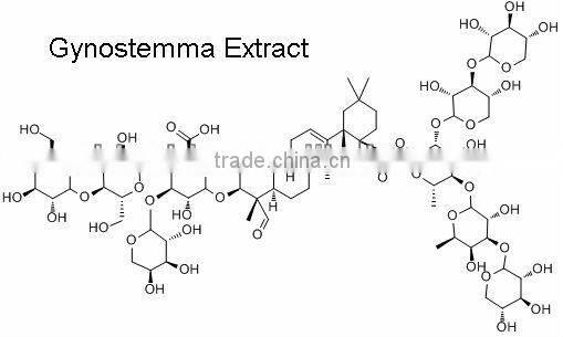 Herbal Medicine Gynostemma Pentaphyllum Extract