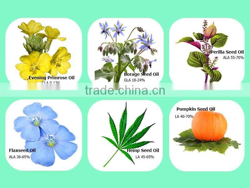 Organic GMO free evening primrose oil(EPO) Refined