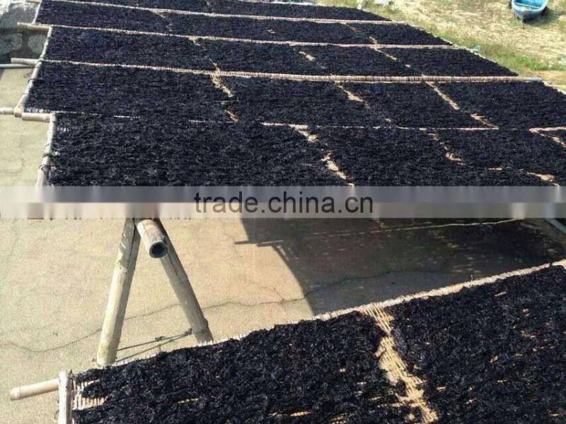 Natural laver seaweed,seaweed sheets,wholesale dried seaweed,nori flakes,sea moss