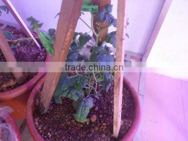 Unique Design 72*3w Led Grow Light Lamp Hydroponic System Lighting