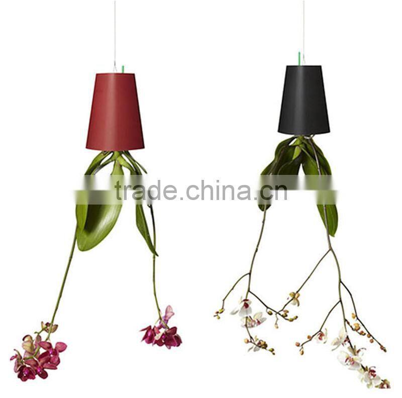 New Design Indoor Creative Sky Planter Originality Fashion Sky Planter Hanging Plastic for Plants