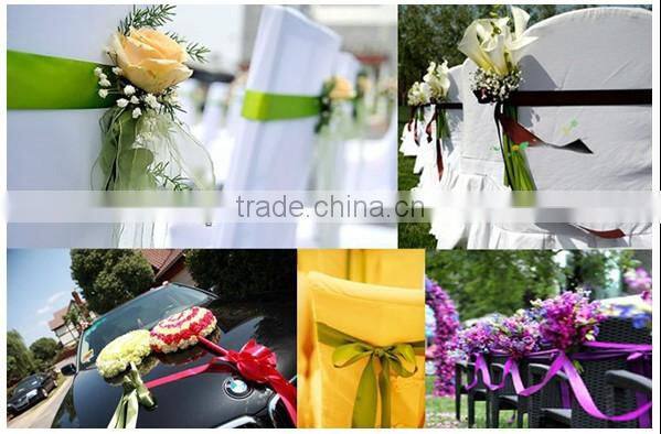 Paper Plastic Core Packing Poly Satin Ribbon