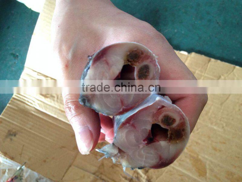 Frozen mackerel catched on 7.14 2.014