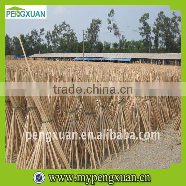 Garden Stake Tools Handle for Hoe