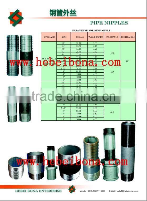 ASTM A53 Carbon Steel Pipe Nipple