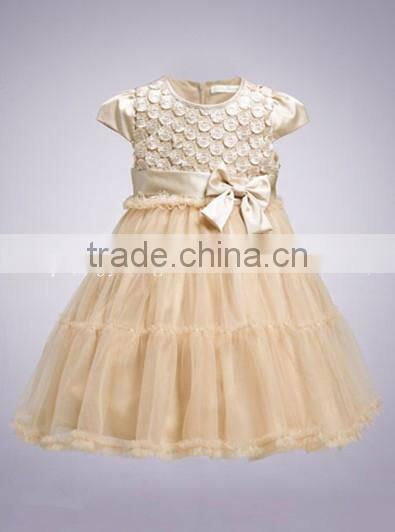 girl Princess dress party dress