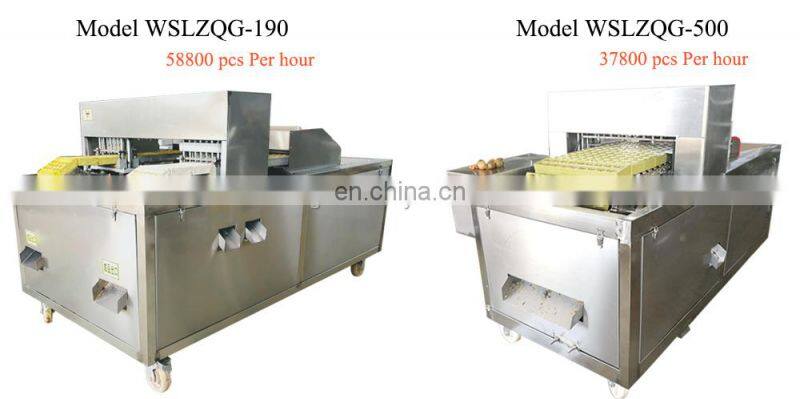 Professional Plum Apricot Dates Olive Pitting Stoner Machine food grade stainless steel