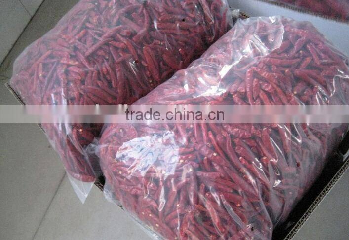 HOT dried chili