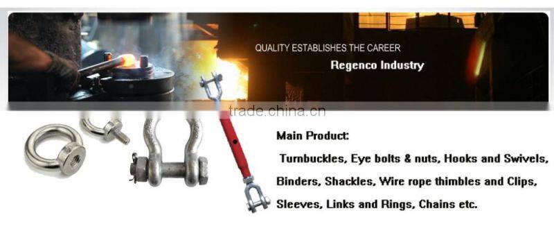 Rigging Screw Turnbuckle