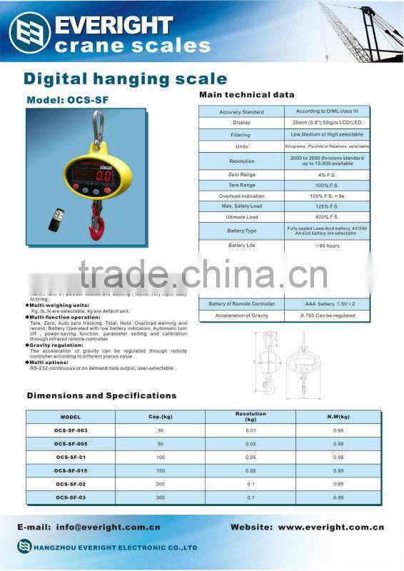30kg everight scale