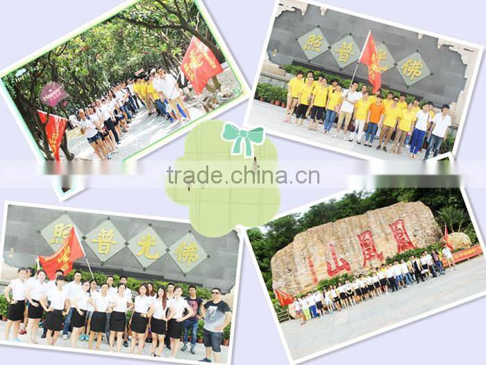 manufacture top quality 60w cctv monitor adapter