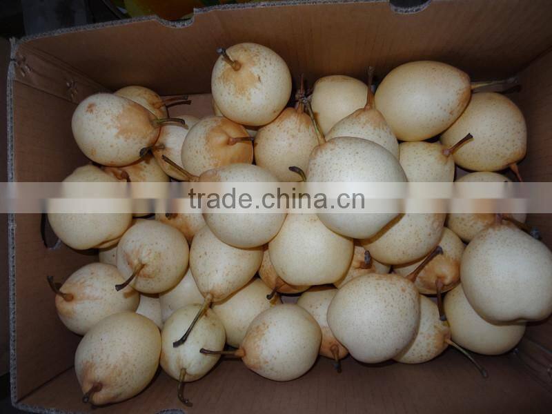 Ya Pear from BROTHER KINGDOM