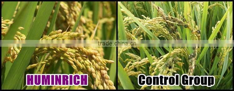 Huminrich Promote Root Development And Stimulates Seed Germination Fully Soluble Leonardite Humic Acid Organic