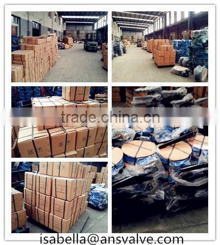 Plastic PVC Gate Valve