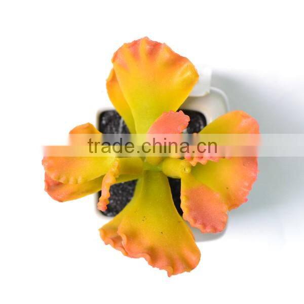 Decorative Succulent Plant in a square White Pot