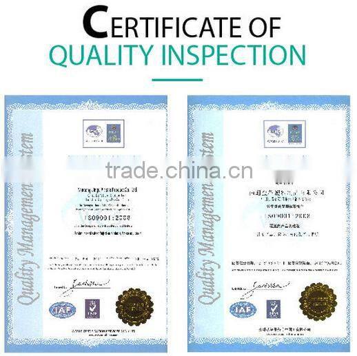 New arrival high quality round PVC massage cushion