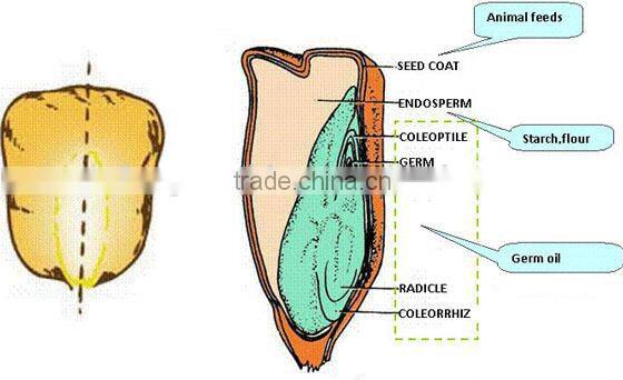 5 ton per day maize/wheat flour milling machine/maize flour milling machines