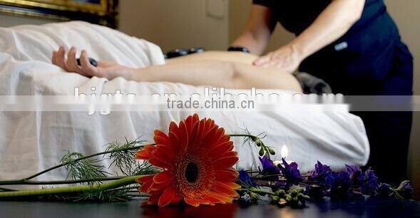 GTO Brand MT skin care titanium 540 derma micro needle roller