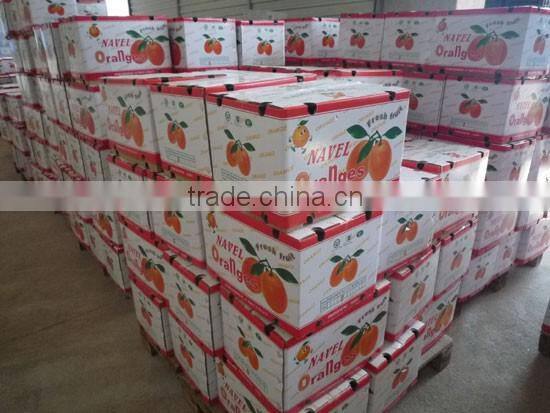 2015 fresh navel orange from jiangxi on sell