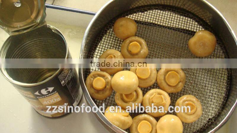 Delicious champignon mushrooms canned