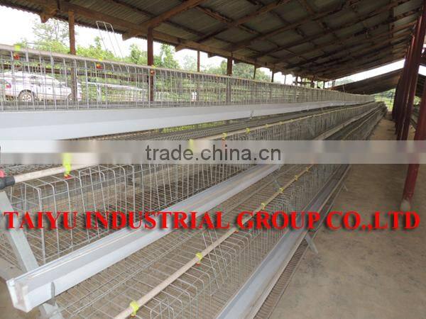 TAIYU Layer Poultry Equipments Guangzhou for Chicken Farm