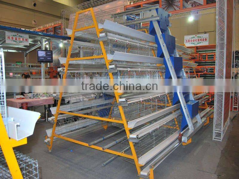 Automatic Chicken Feeding System