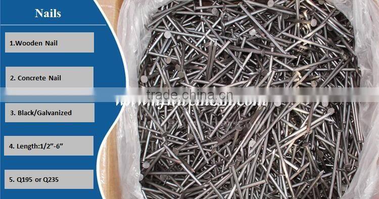 Pakistan high quality polished iron common wire nails for building(Guangzhou Factory)