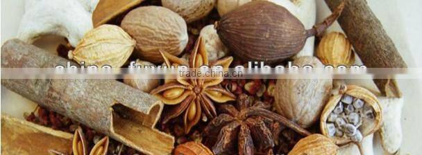 garlic powder making machine/chilli powder machine prices