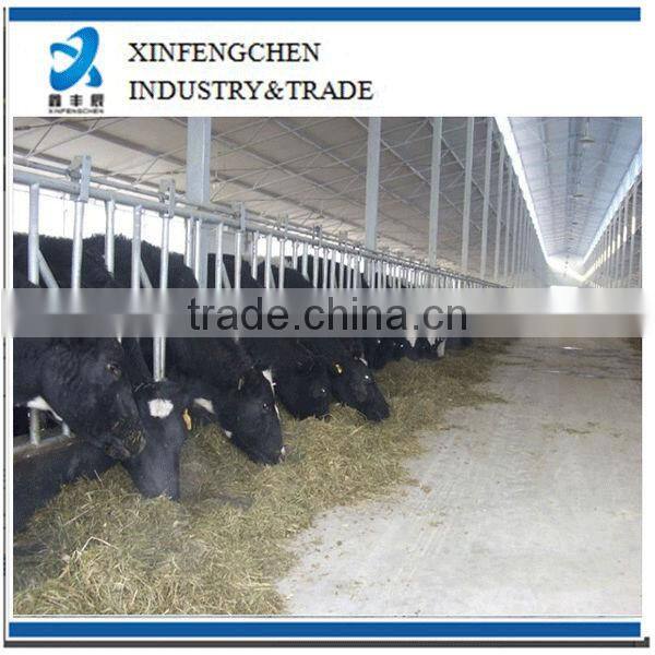 cattle headlock cow selflock feeder