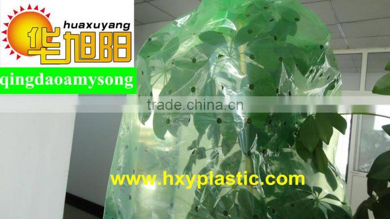 Blow molding LDPE plastic green color tomato pe tube perforated film