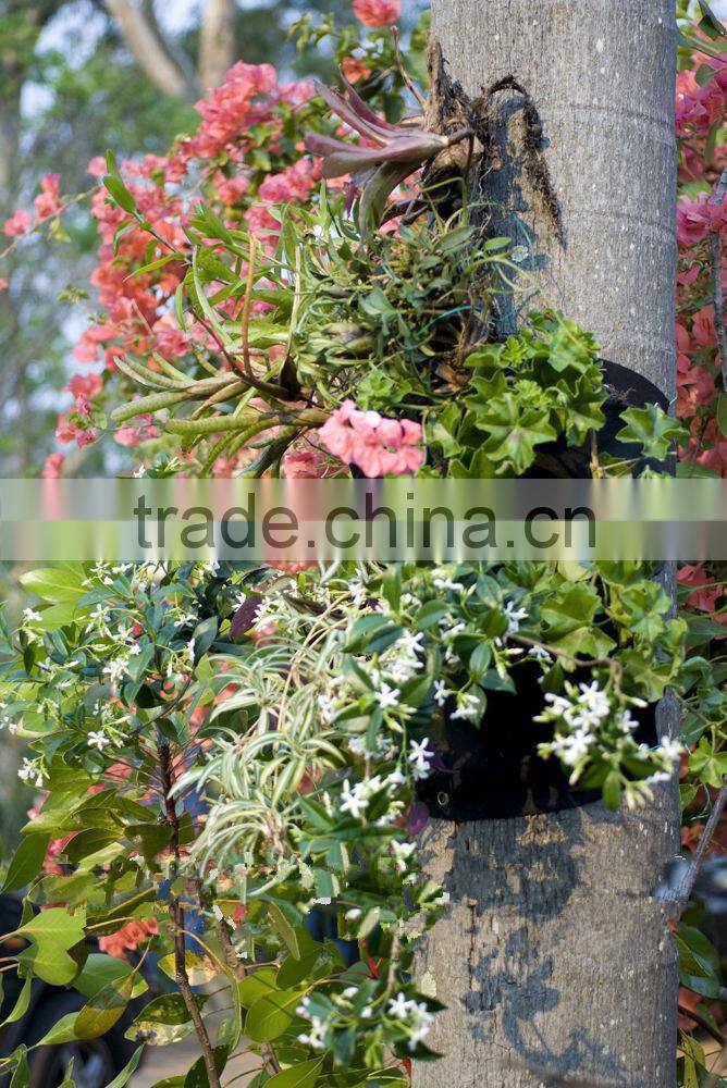 High Quality Vertical Wall Garden Pots,Indoor Planter,Wall Mounted Flower Pot,Wall Mount Planter