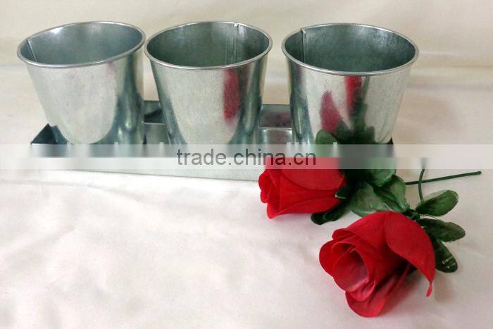 Outdoor Indoor Seed planter and pot