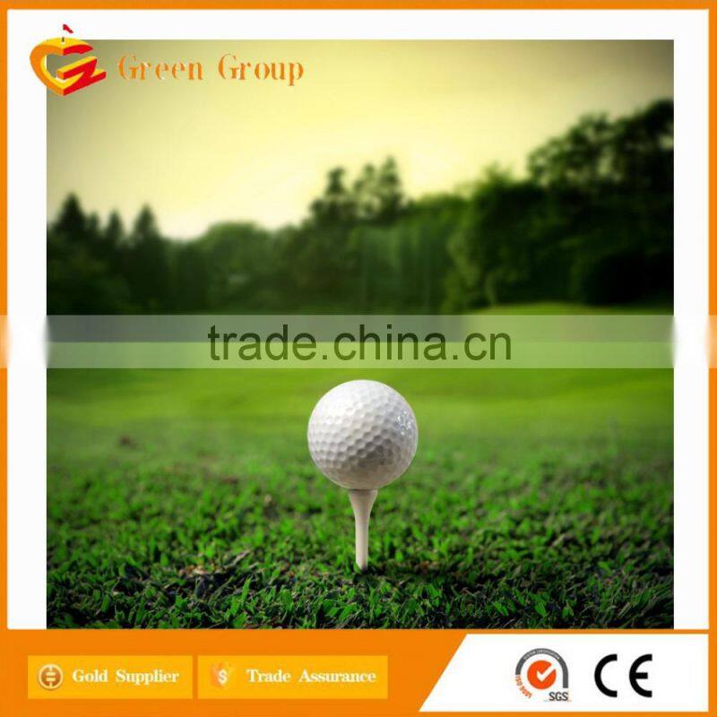 2 pcs promotional golf ball in bluk for wholesale