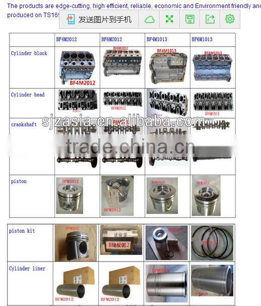 BF6M1013 rocker cover gasket 04205894, 712928700