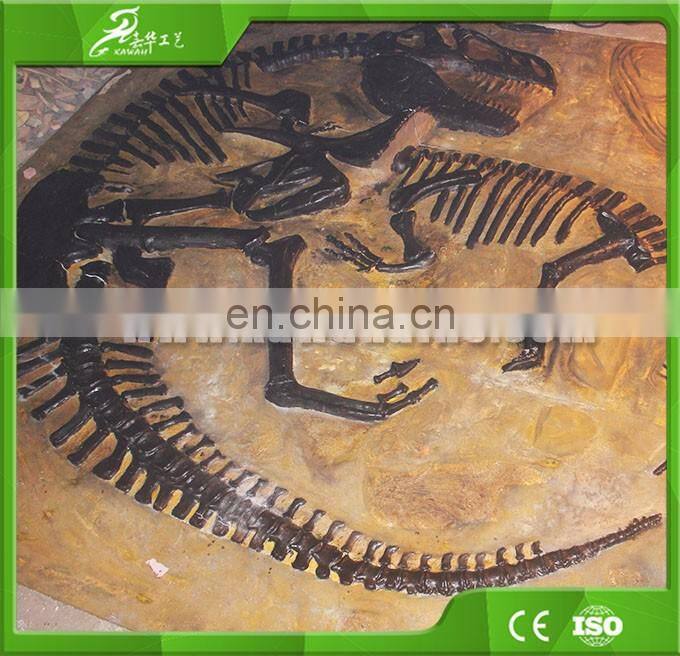 China KAWAH factory fiberglass dinosaur skeleton for exhibition