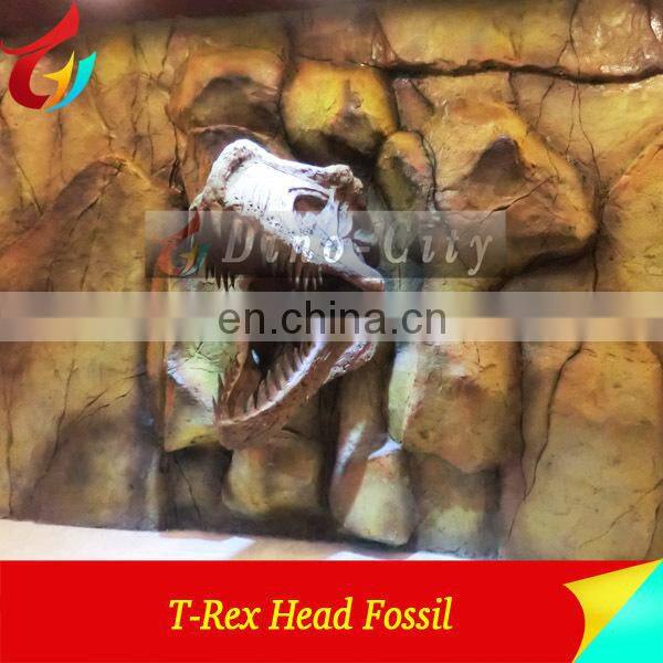 High Quantity Animal Skeletons Fossil In Big Discount
