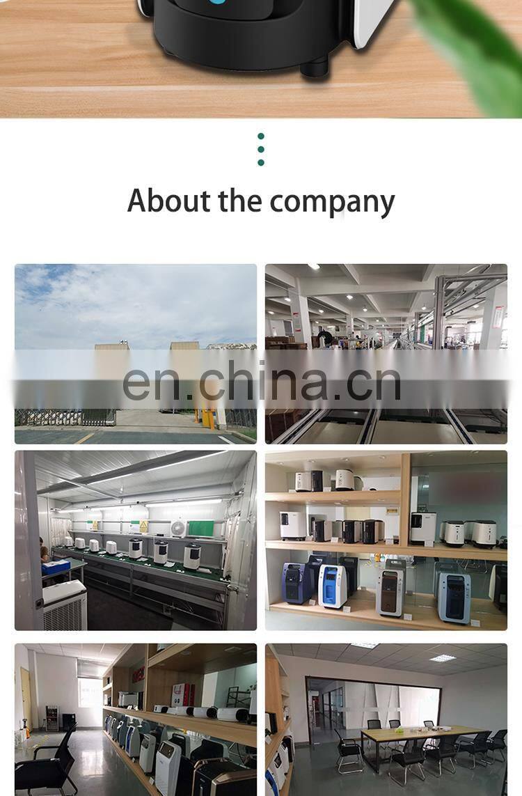 Cheap Price Portable Mini High Flow Medical Oxygen Machine