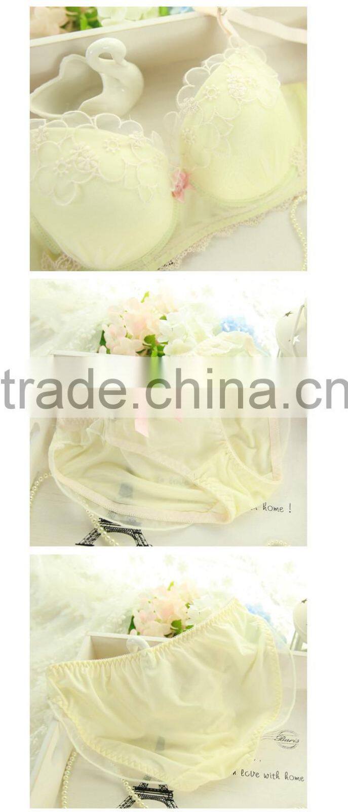 Lace Embroidery Transparent Underwear Bra