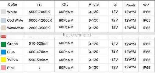 Festival Color Led Digital Strip Light SMD5050 With CE