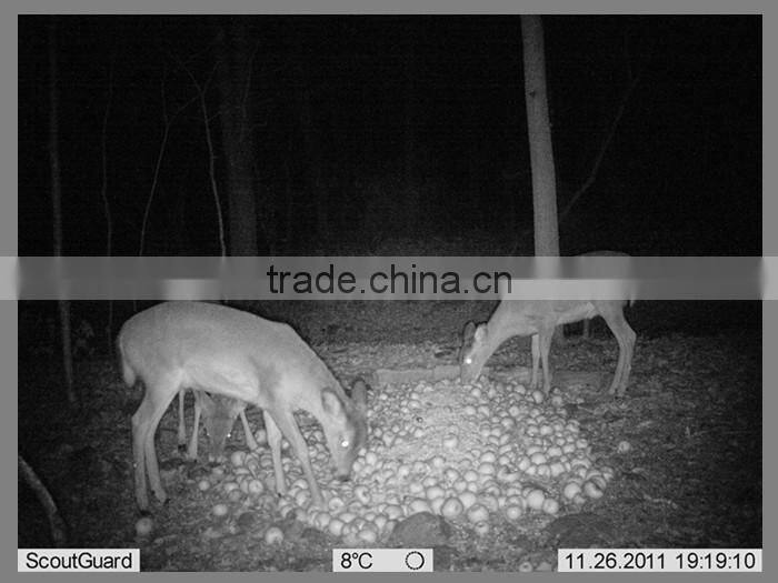 12MP Best Selling night vision 940nm hunting camera mms