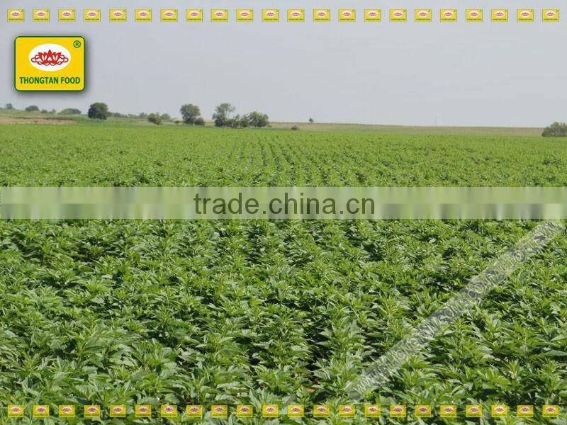 vietnam bulk sesame seeds by Thongtan foodstuff .,Ltd