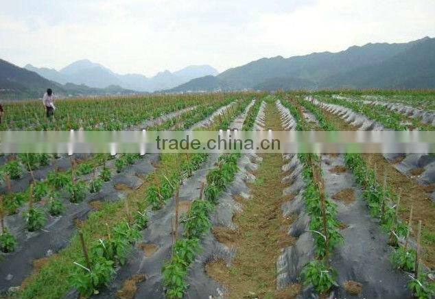 Black Mulching Film Masterbatch